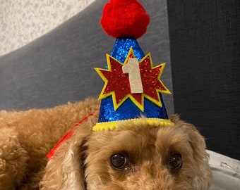 Reusable Dog Glitter Birthday Cone Hat and a set of 0-8 Number Charms with a number stick on the Cone Hat (And) A Matching HB Bandanna