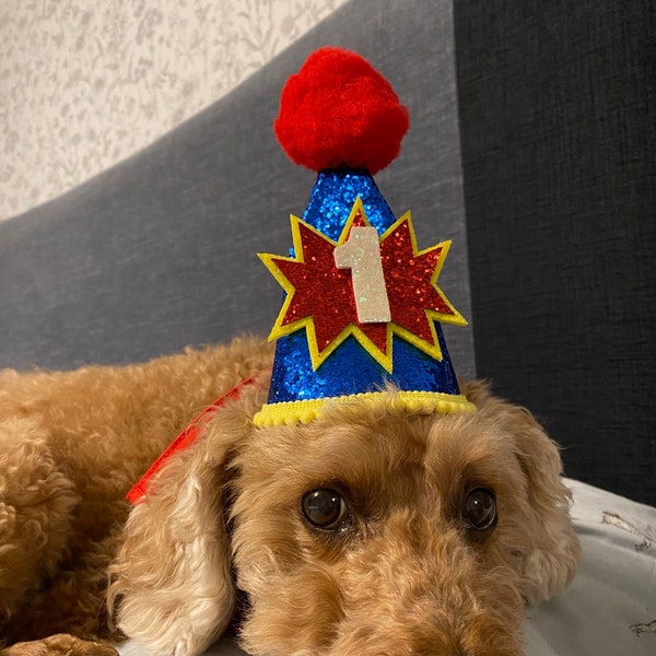 Reusable Dog Glitter Birthday Cone Hat and a set of 0-8 Number Charms with a number stick on the Cone Hat (And) A Matching HB Bandanna