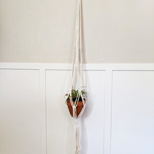 May include: White macrame plant hanger with a small potted plant hanging from it. The hanger is attached to a white wall with a gold ring.