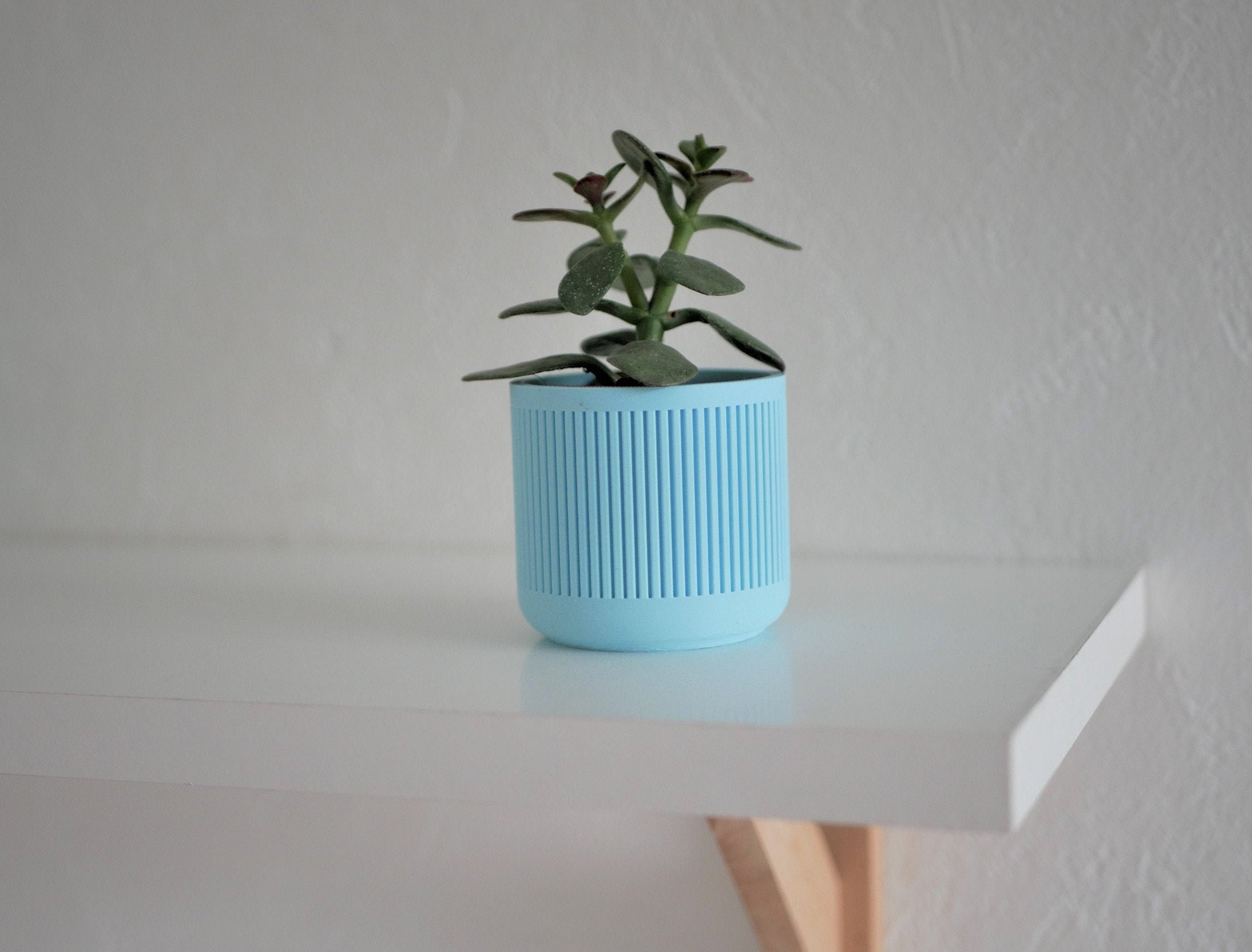 Pot Décoratif/Cache-Pot Pour Cactus ou Succulente Edition Pastel Bleu