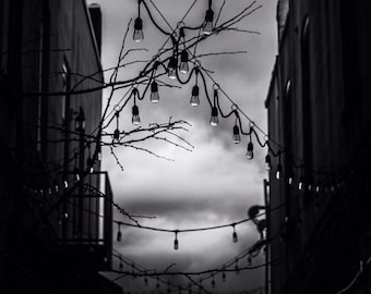 Kolejna alejka, kolejna burza - oryginalna czarno-biała fotografia dla Backroad Life 8x10 Greensboro, Karolina Północna NC City Buildings Night