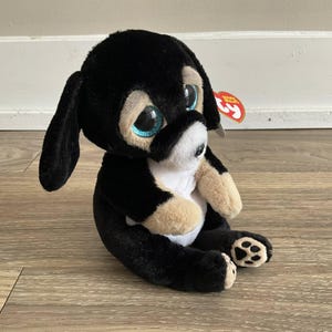 TY Beanie Baby (Beanie Bellies) - RANGER the Dog Plush