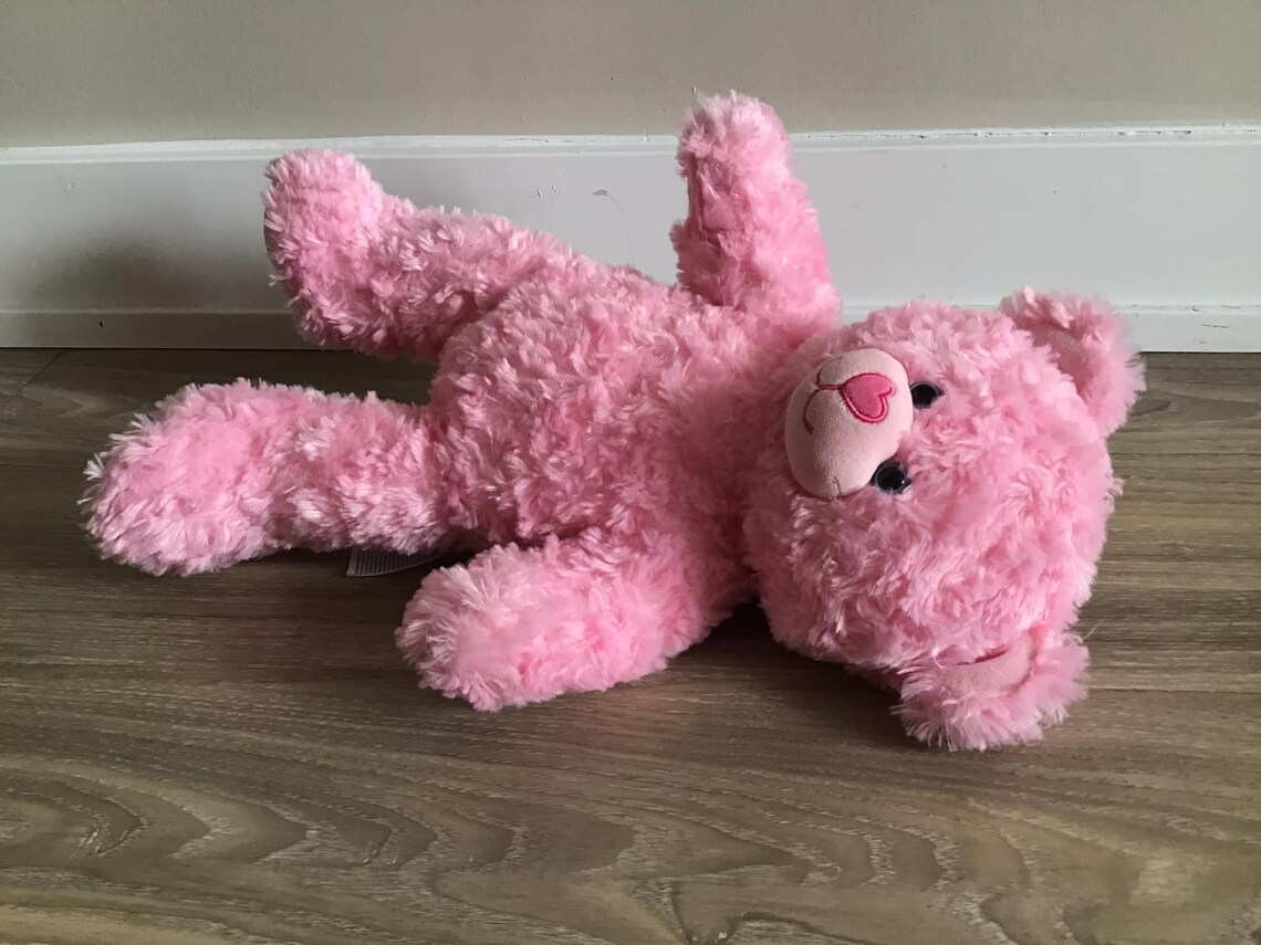 Build A Bear Pink Cuddles Teddy Rosette Swirl Etsy