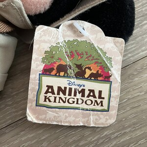 May include: A square-shaped paper hang tag with rounded corners featuring a graphic of a green tree and various animal silhouettes including a lion, elephant, dragon, and rhinoceros. The text reads Disney's ANIMAL KINGDOM in dark brown letters.