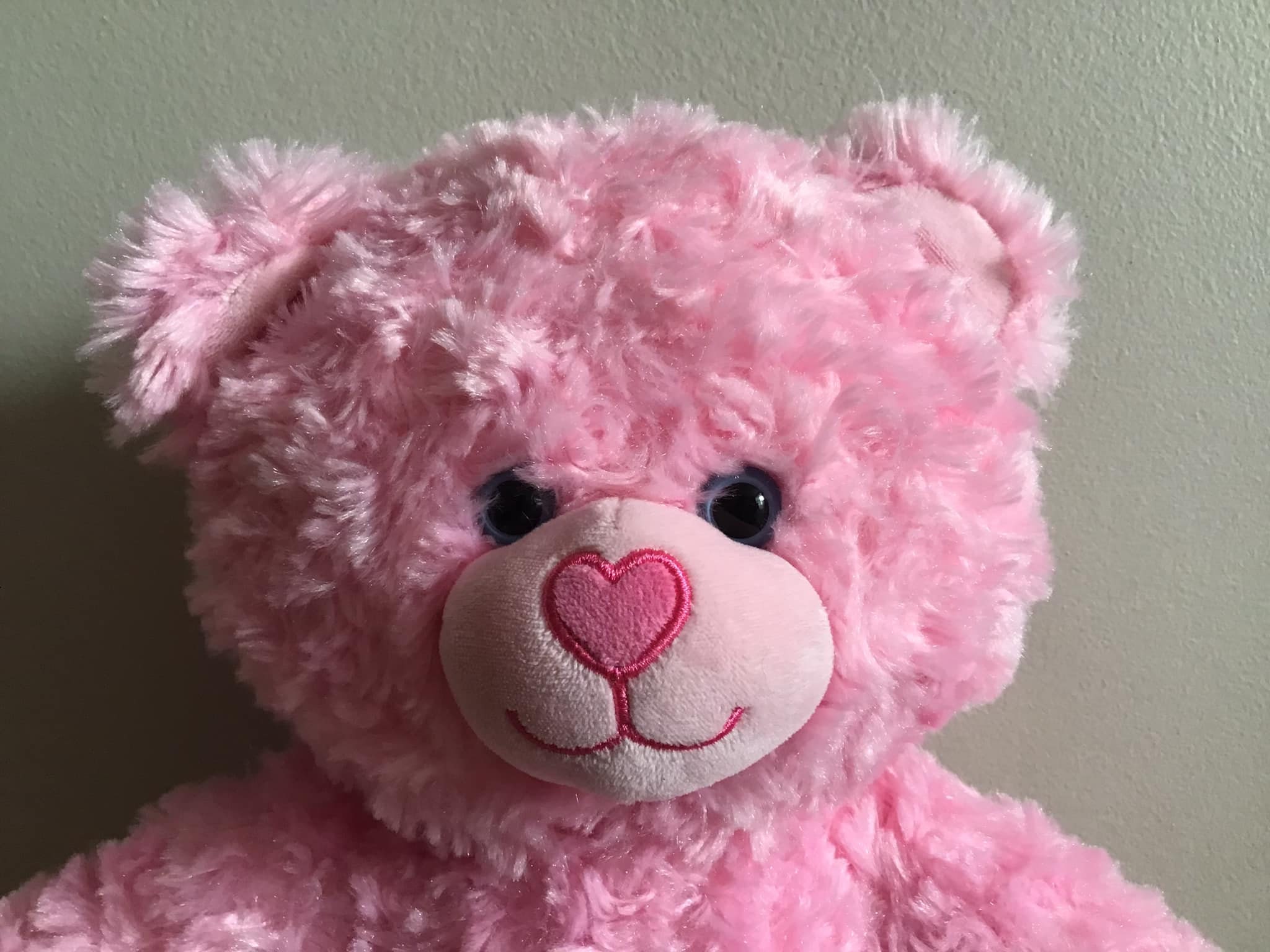 Pink Cuddles Teddy Bear - Teddy Bears