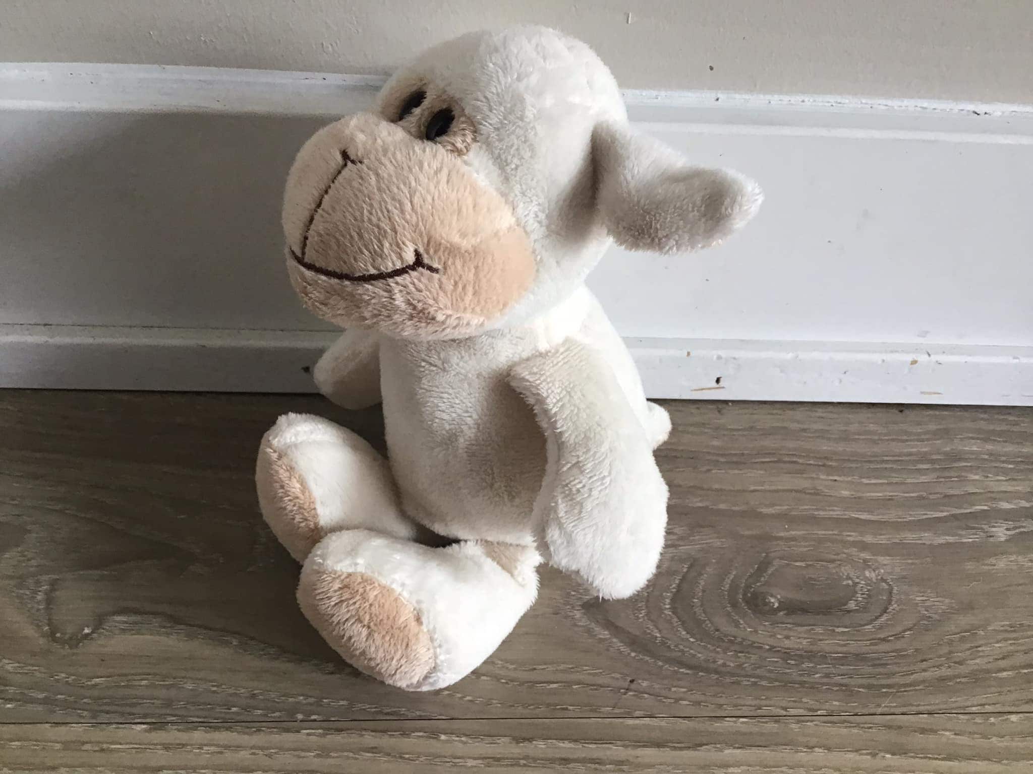 Kinder lamb teddy cheap