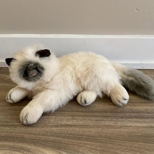 May include: A plush cat toy featuring long, cream-colored fur with dark brown ears and a dark gray face mask. The stuffed animal is in a lying position with a long, fluffy tail that transitions from cream to a soft gray color at the tip.