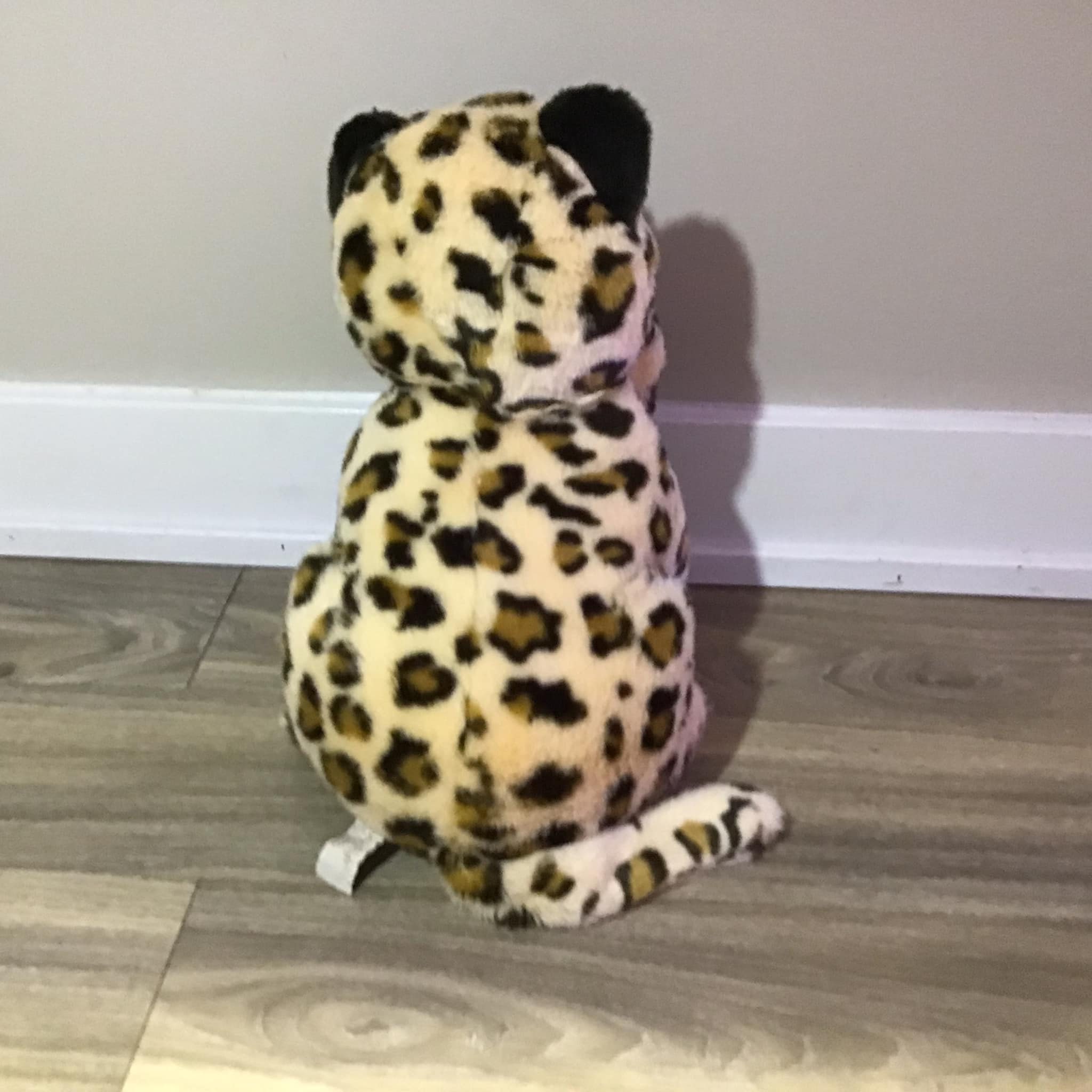 Un cucciolo di leopardo della Cina settentrionale - Curiosita Un cucciolo di leopardo della Cina settentrionale - Curiosita