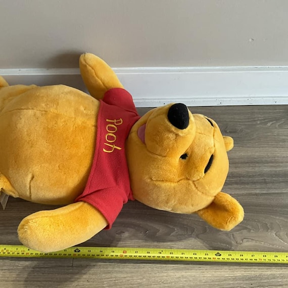 Disney Winnie the Pooh 