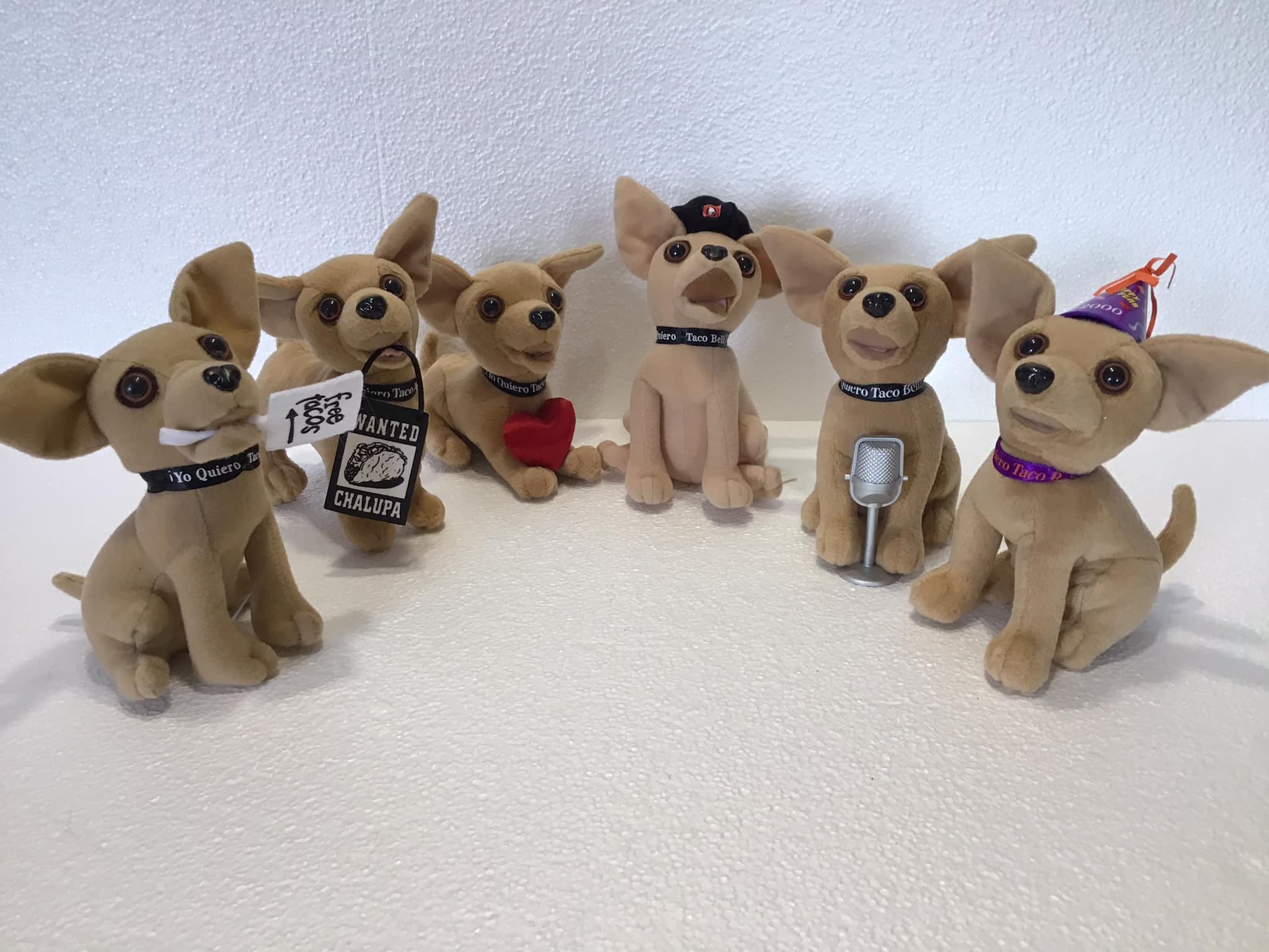 what happened to the taco bell chihuahua dog