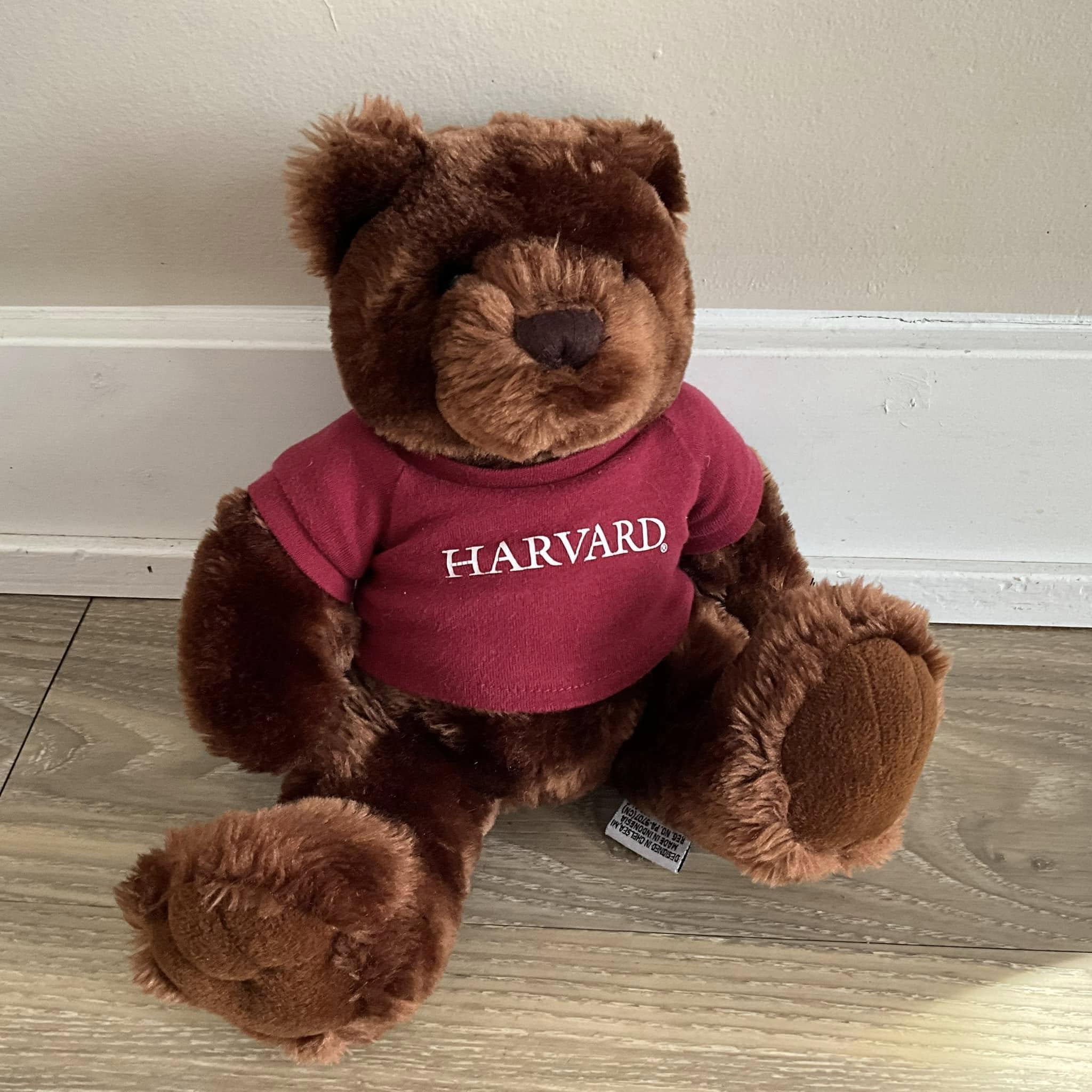 Harvard Teddy Bear Plush 9