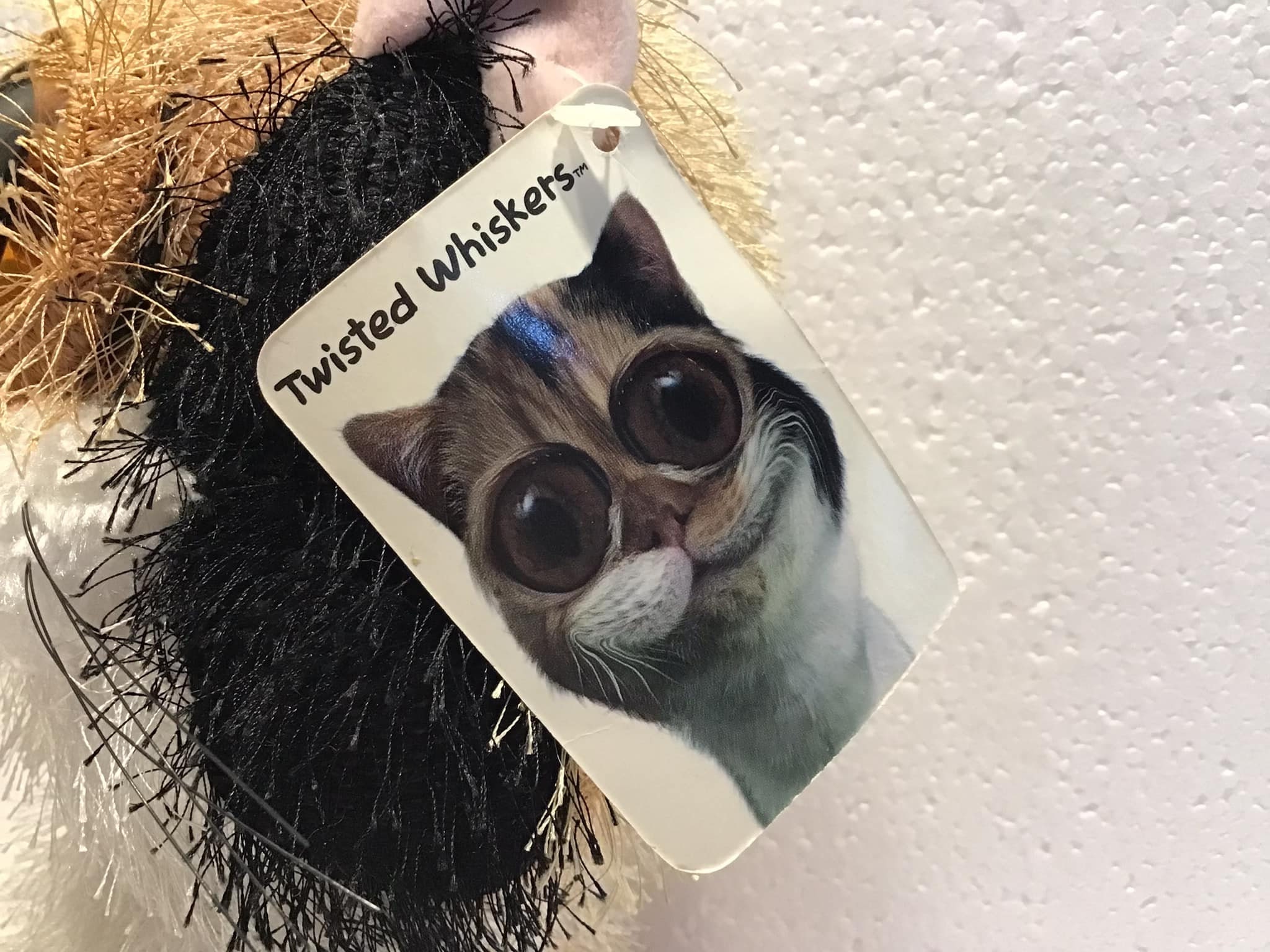 Twisted Whiskers ぬいぐるみ 猫 Twisted Whiskers Cat Plush American Greetings Stuffed Animal