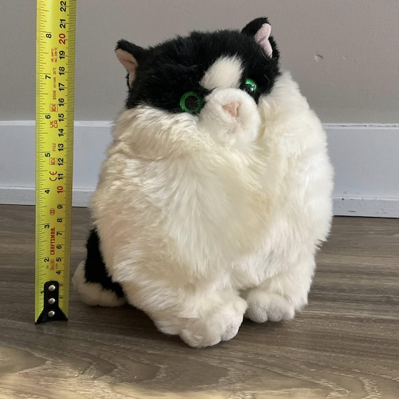 Aurora Cat 9.5