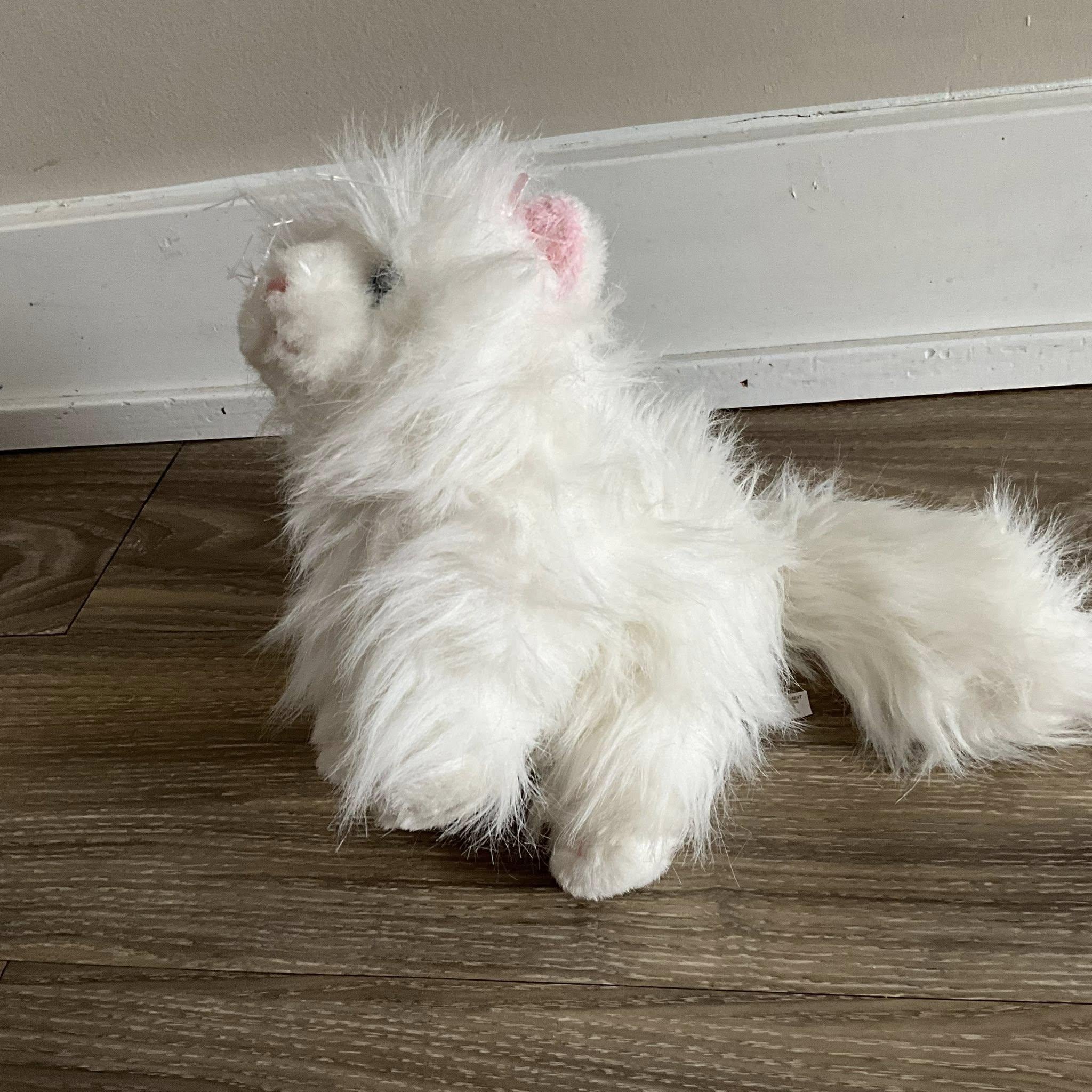 Ganz Webkinz HM110 Persian White Cat Plush Stuffed Animal - Etsy
