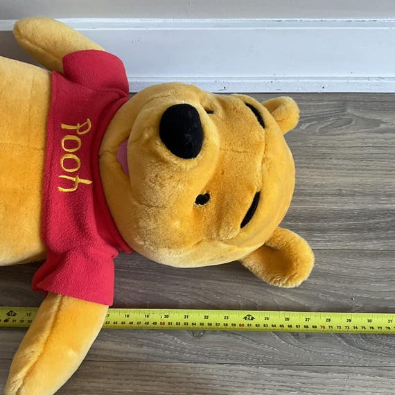 Disney Winnie the Pooh 