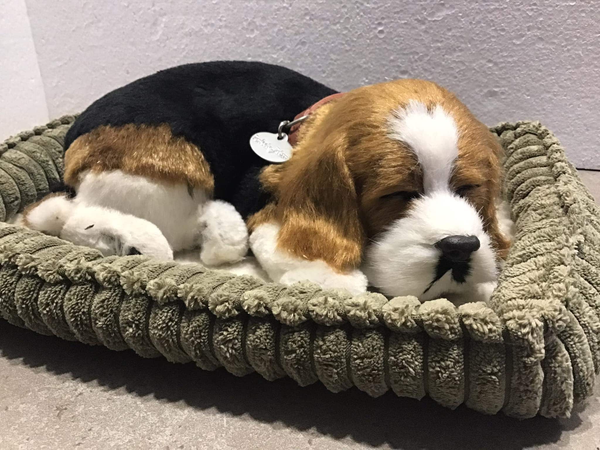 Perfect Petzzz Breathing Puppy Dog Pet With Bed Lifelike Realistic