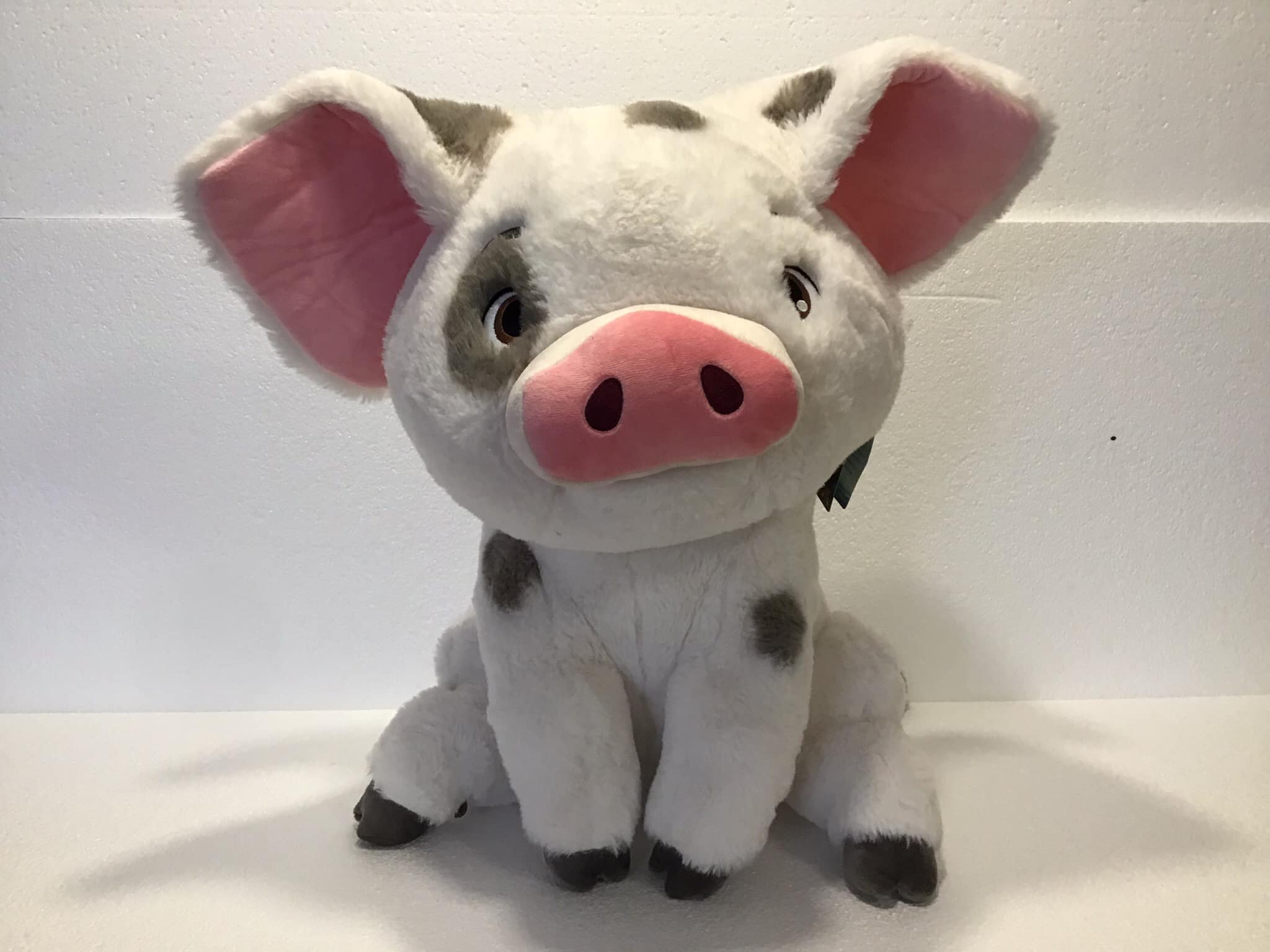 Pua peluche moana sale
