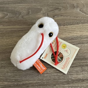 May include: White plush Salmonella bacteria toy with red string. The toy is labelled "Giant Microbes Salmonella enteritidis".