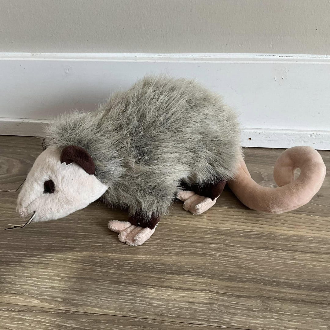 Giant Possum Stuffed Possum For Sale Ganz Webkinz Opossum Fluffy