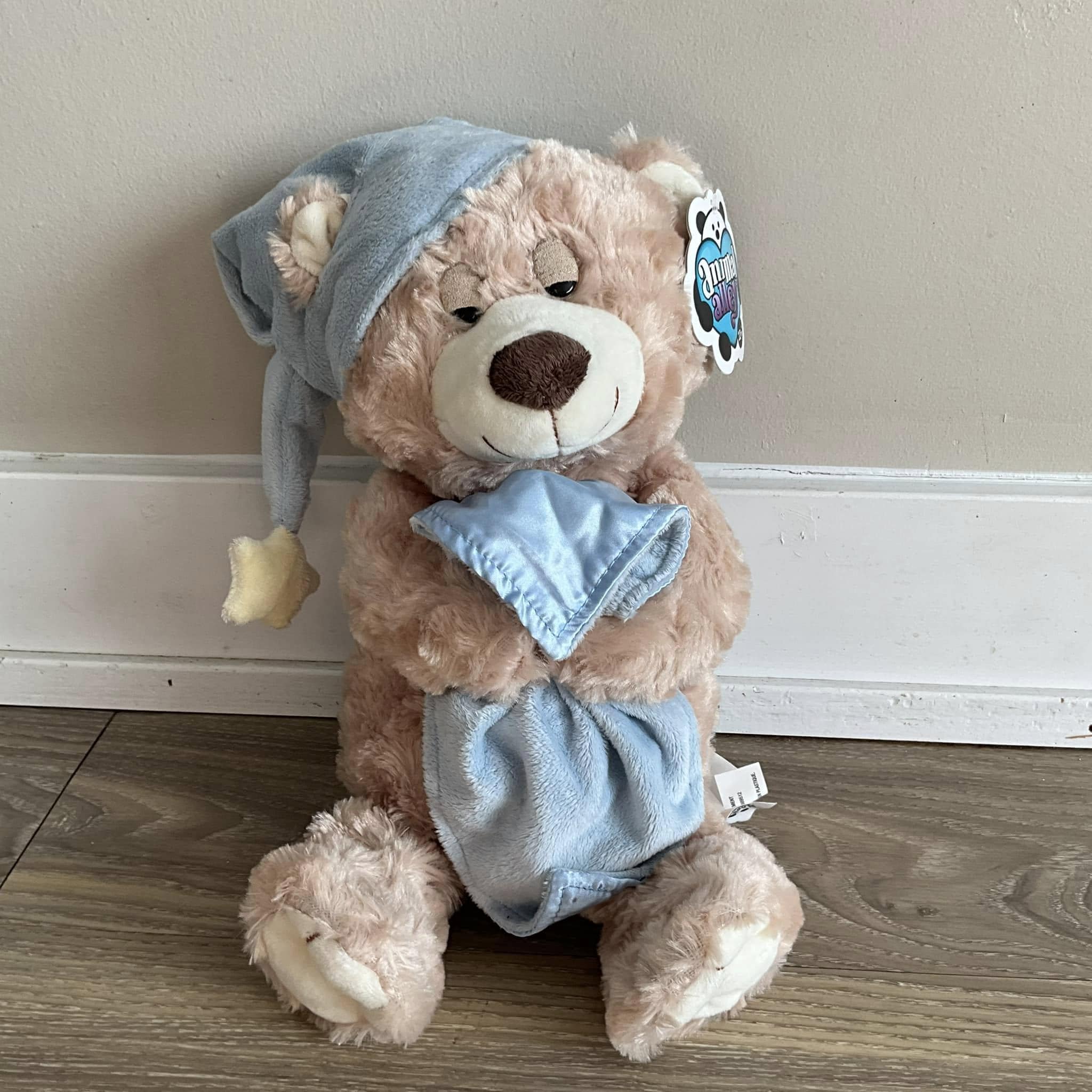 Sleepy Bedtime Teddy Bear 14