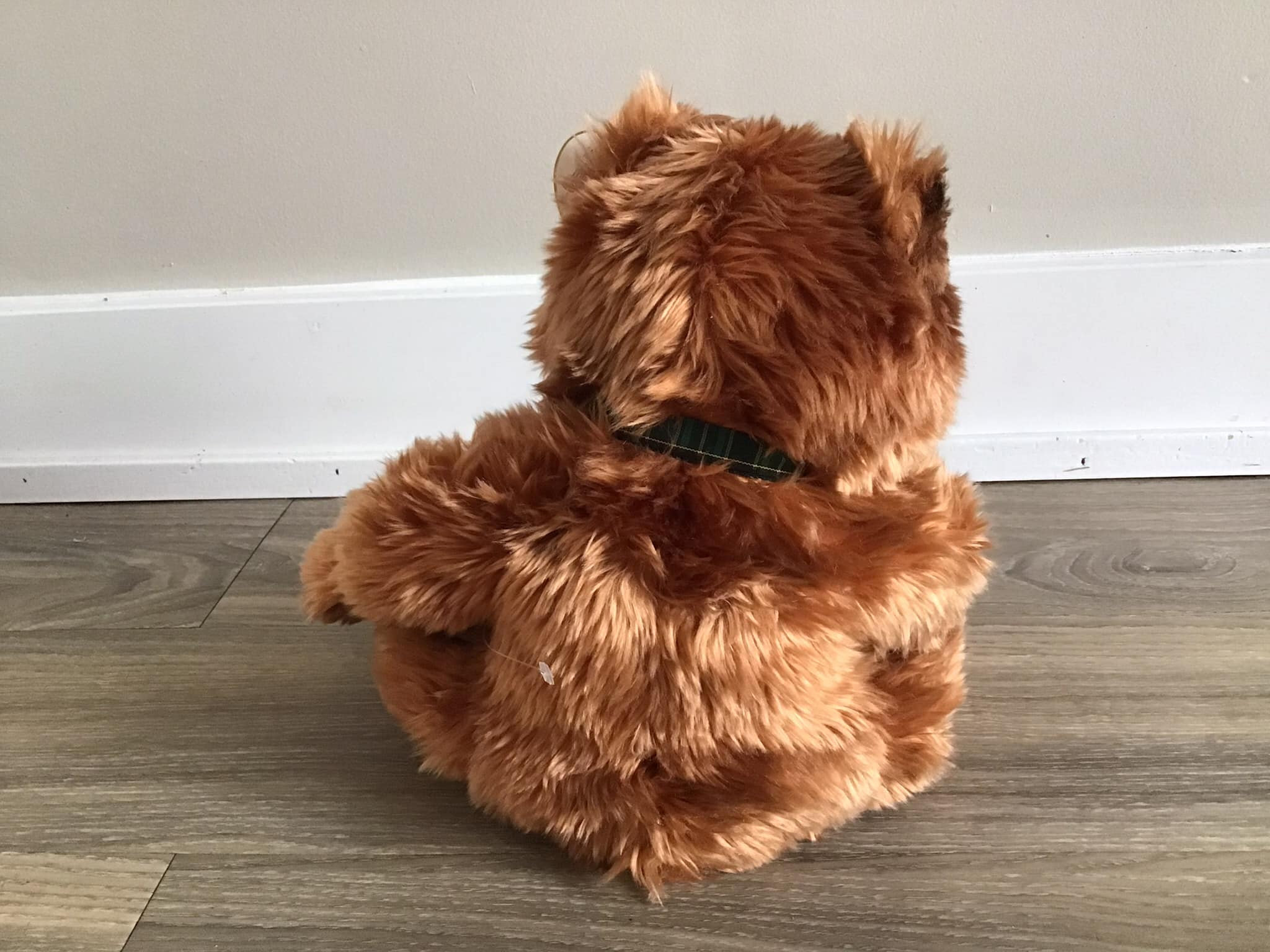  Teddy Bear 2001 コレクション Ty Baby-auborn Teddy Bear: 2001 Classic Collection Plush (13