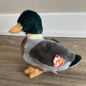 May include: A green, gray, and brown plush mallard duck with a red and white Ty Beanie Baby tag. The tag has a white star on it.