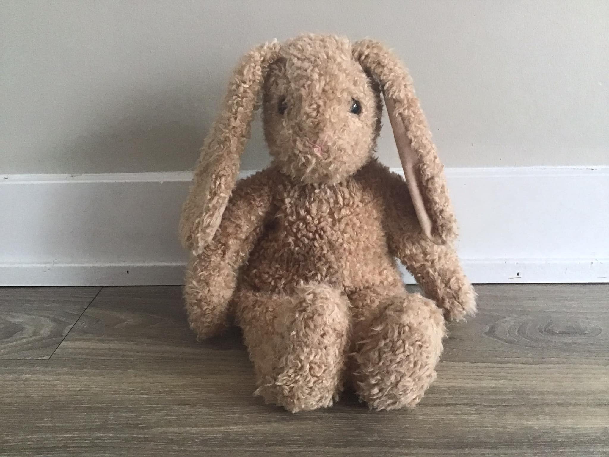 Brown stuffed bunny hotsell