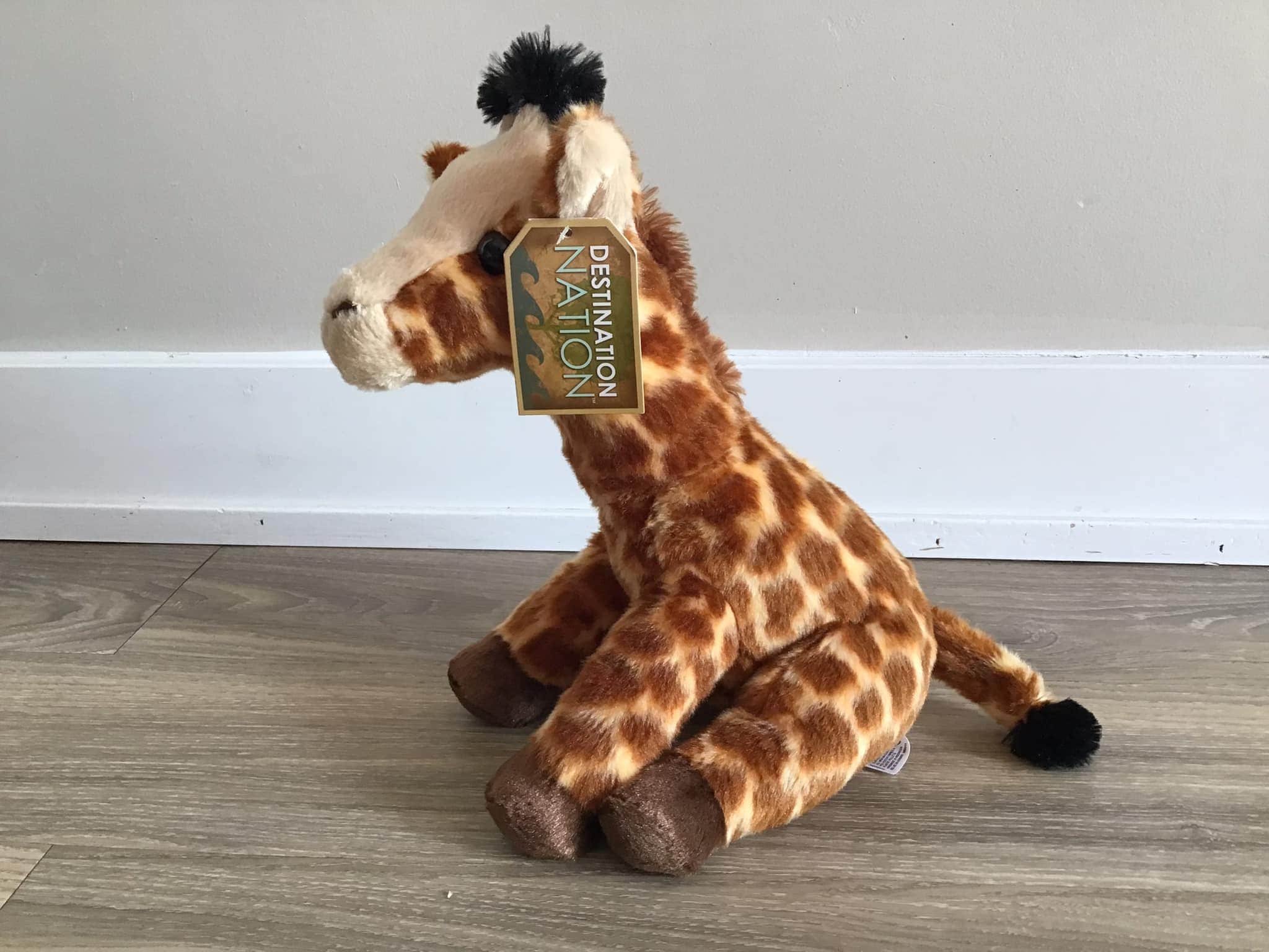 Destination hotsell nation giraffe