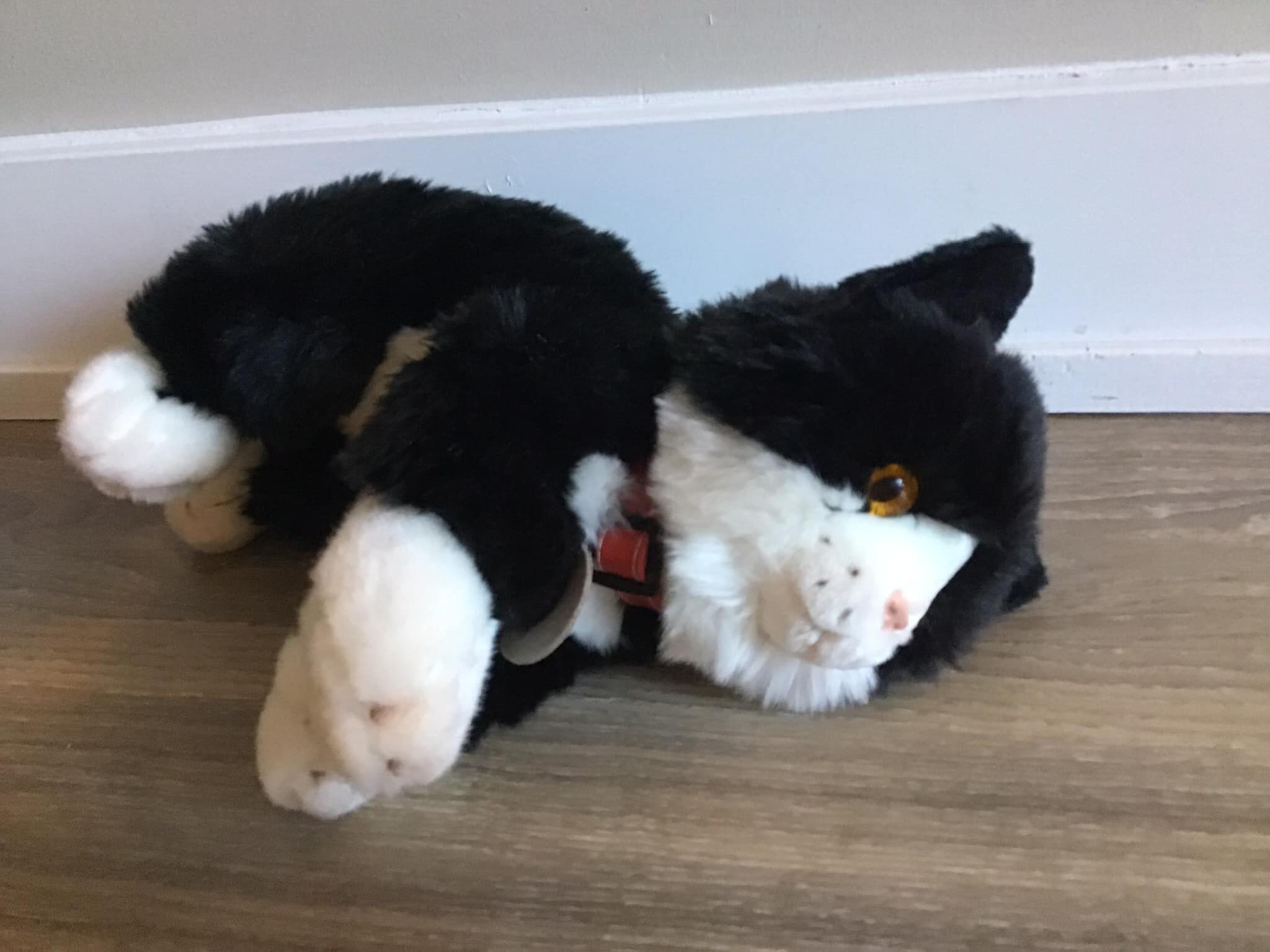 keel toys black cat