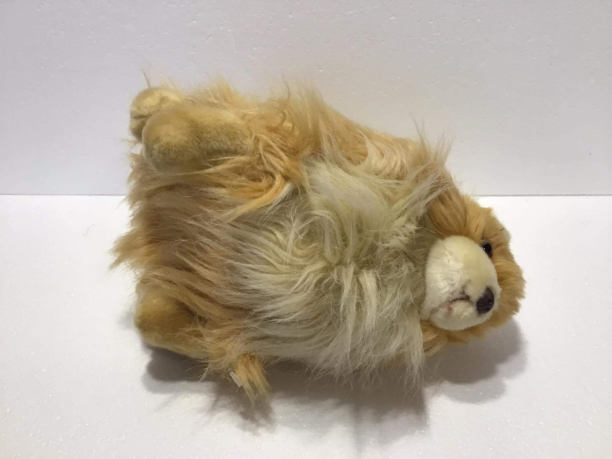 GUND 世界一かわいい犬 ポメラニアン 4040347 BOO ぬいぐるみ 10インチ 