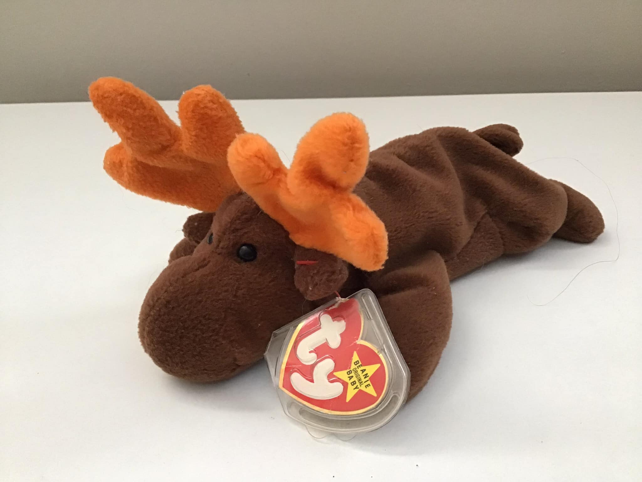 Ty beanie baby hot sale chocolate moose 1993