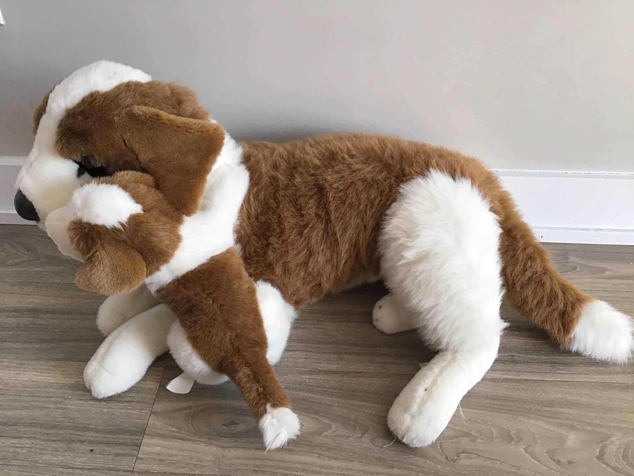 St Bernard Plush Dog - Main Image