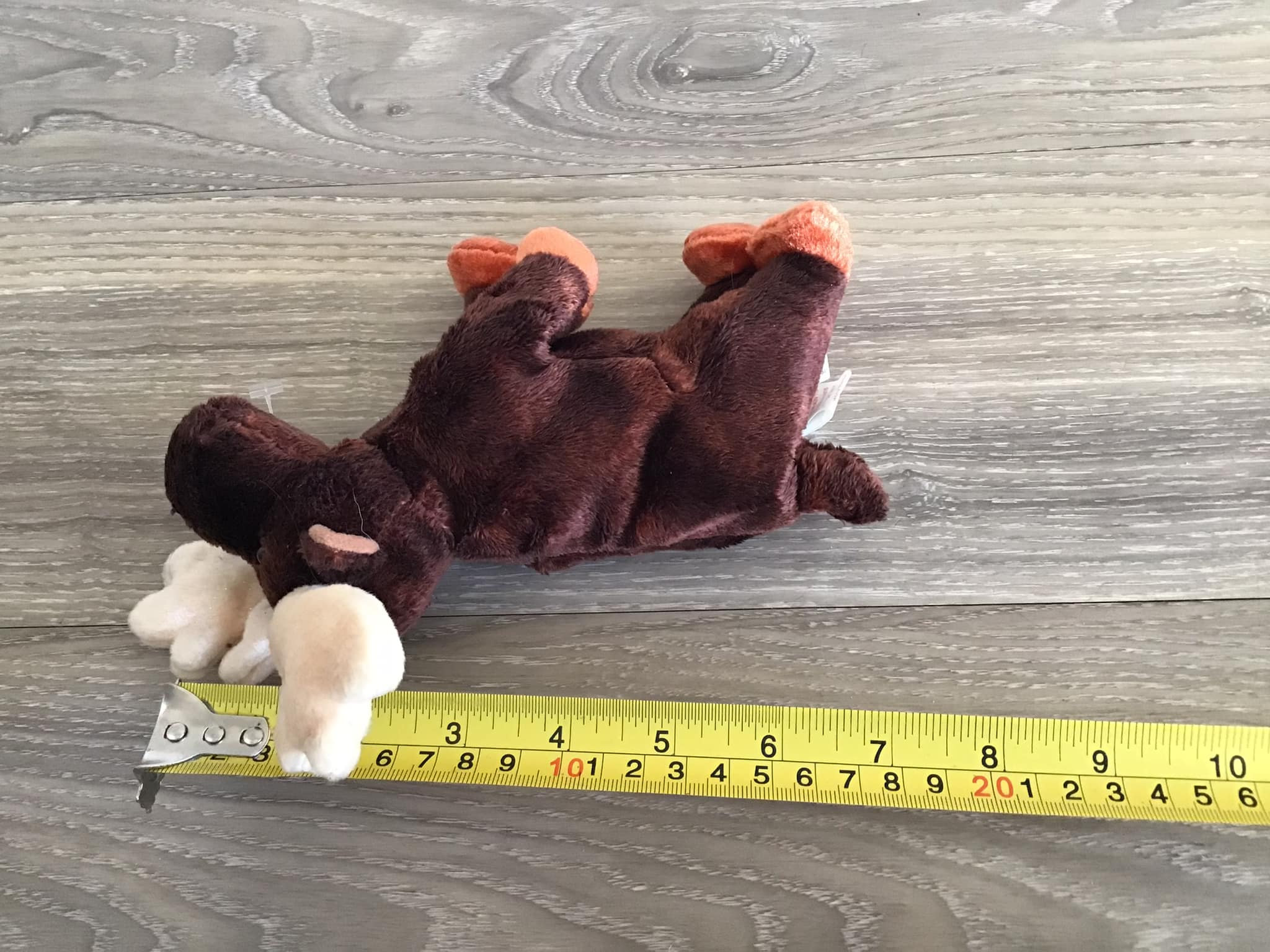 TY Zeus the Moose 2002 Stuffed Animal Plush Toy 7
