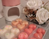 Burner Starter Kit including burner 2 tea lights and perfume sample box