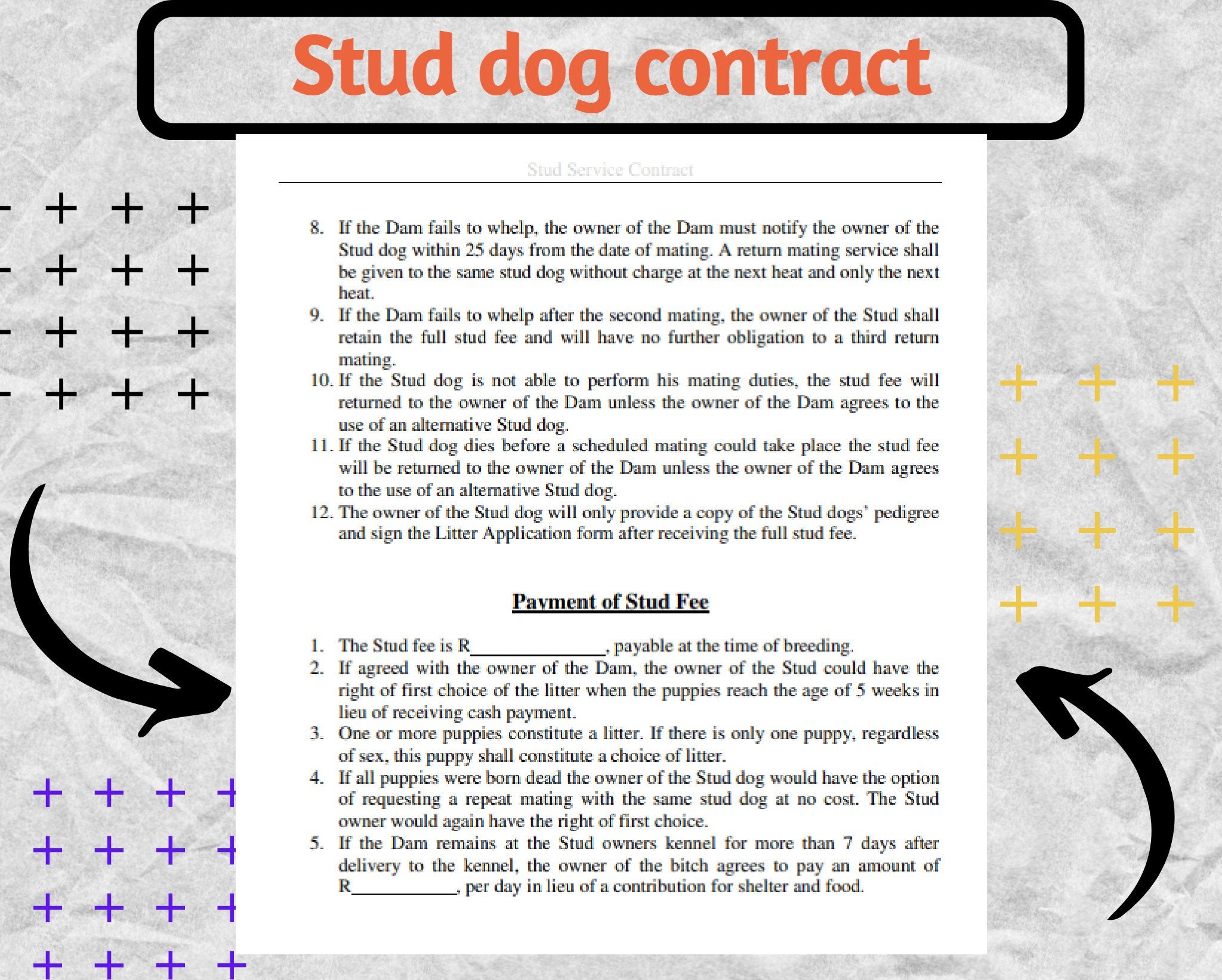 Stud Dog, Stud Dog Contract, Stud Dog Forms, Stud Dog Template, Stud