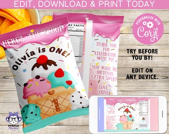 Ice Cream Birthday Chip Bag | Treat Bag | Snack Bag | Favor