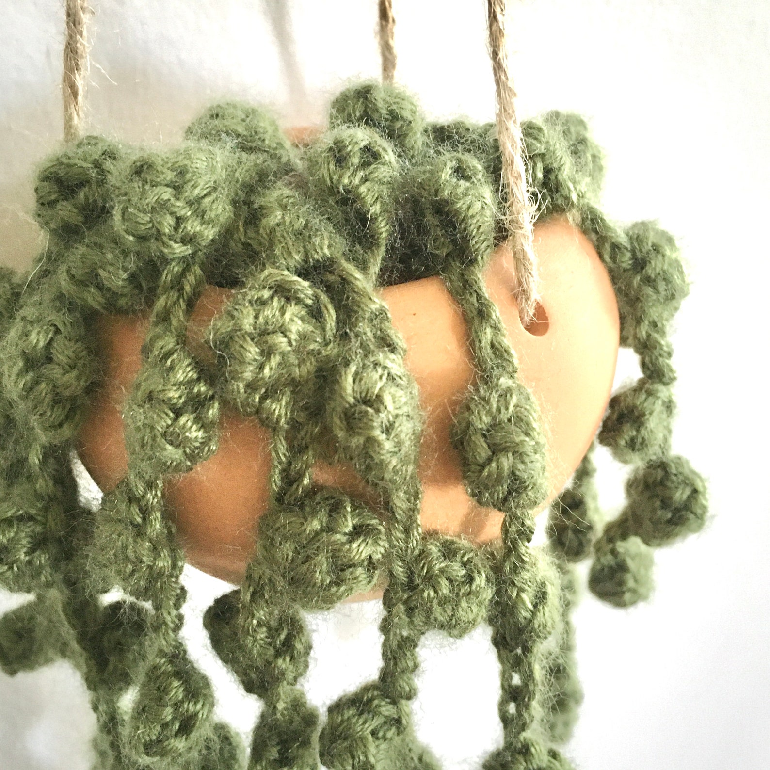 Hanging crochet String of Pearls Succulent Etsy