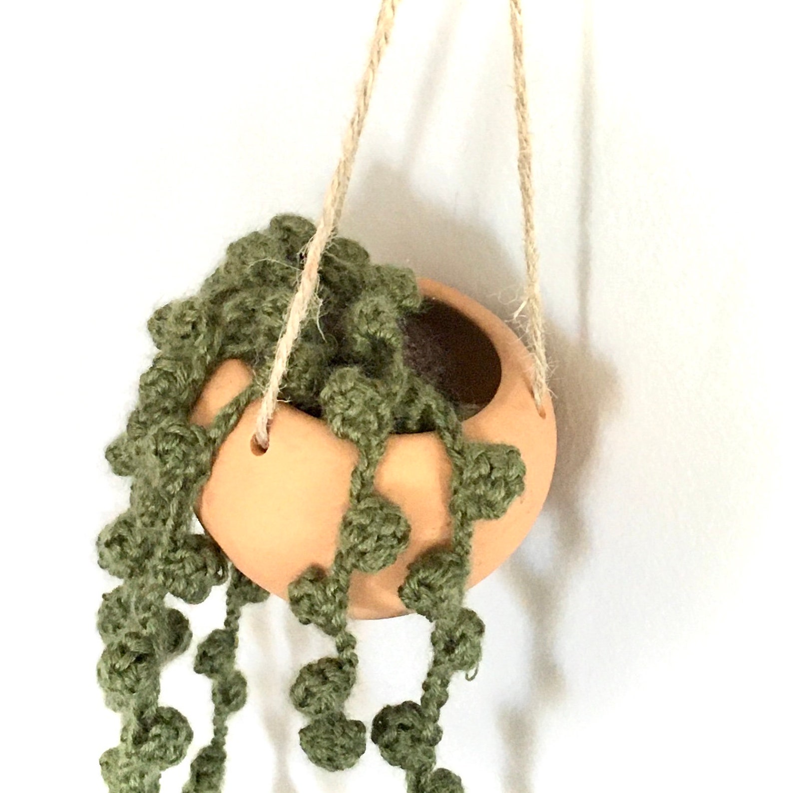Hanging crochet String of Pearls Succulent Etsy