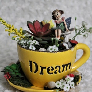 Dream Fairy Garden