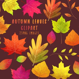Clipart foglie d'autunno, clipart foglie acquerello, clipart foglie autunnali, download istantaneo, uso commerciale, clipart autunnale, clipart autunnale