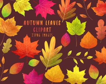 Autumn Leaves clipart, watercolor leaves clipart, fall leaves clipart, Instant download, commercial use, Autumn clipart, Fall clipart