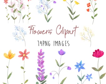 Flowers clipart, Wildflowers Borders clipart, Wild flowers, Flowers, Botanical flower clipart, Botanical clipart, Flowers png