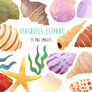 Clipart di conchiglie dell'acquerello, stelle marine, png di clipart di conchiglie, download istantaneo, clipart di conchiglie digitali, lumaca di mare, alghe