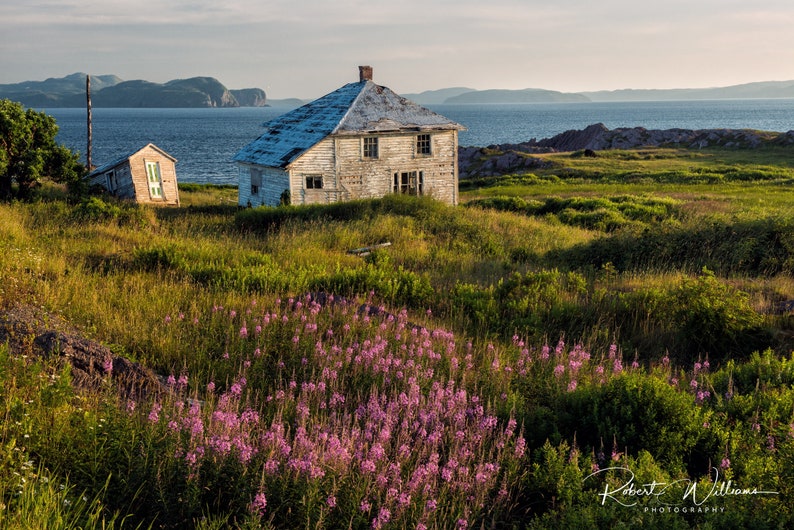 Abandoned House in Open Hall, Newfoundland Etsy