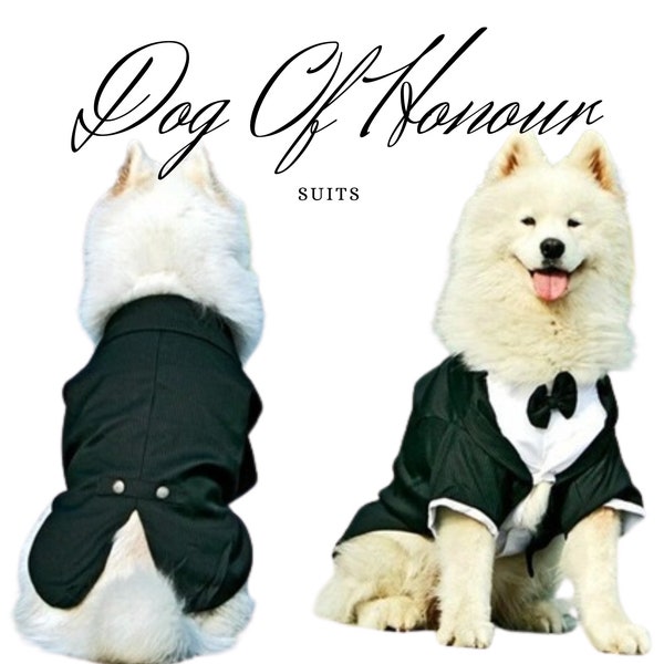 Dog Wedding Attire , A Classic Dog Wedding Suit , Pin -stripped Suit Perfect Dog wedding Outfit