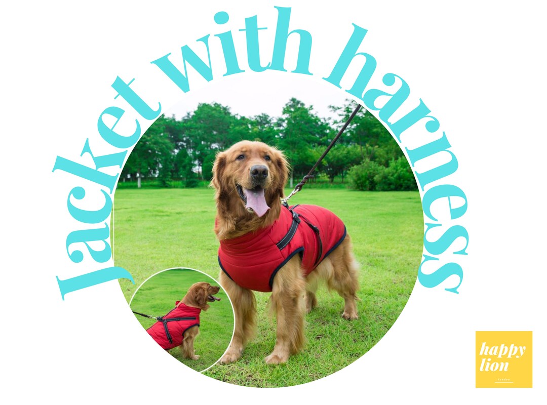 Waterproof Dog Jacket With Harness Keep Your Pet Warm and Dry Soft Padded Winter Dog Jacket