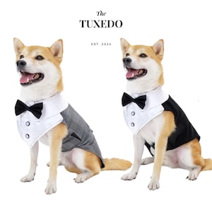 Dog Wedding Tuxedo, Black Tuxedo with white Collar, Grey Tuxedo, Large Dog Tuxedo for Wedding | Wedding Attire For Dogs