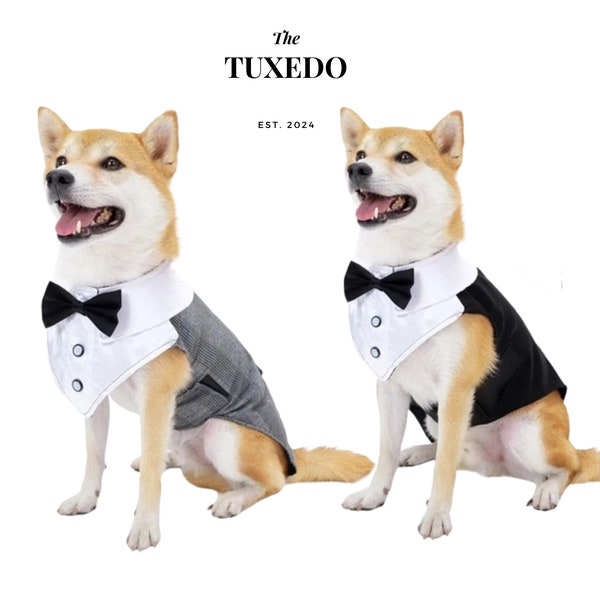 Dog Wedding Tuxedo, Black Tuxedo with white Collar, Grey Tuxedo, Large Dog Tuxedo for Wedding | Wedding Attire For Dogs