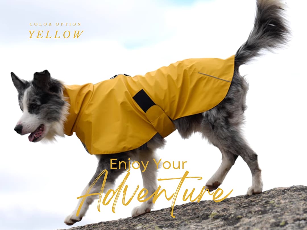 Dog Raincoat Waterproof, Dog Rainsuit , Yellow Dog Raincoat , Orange