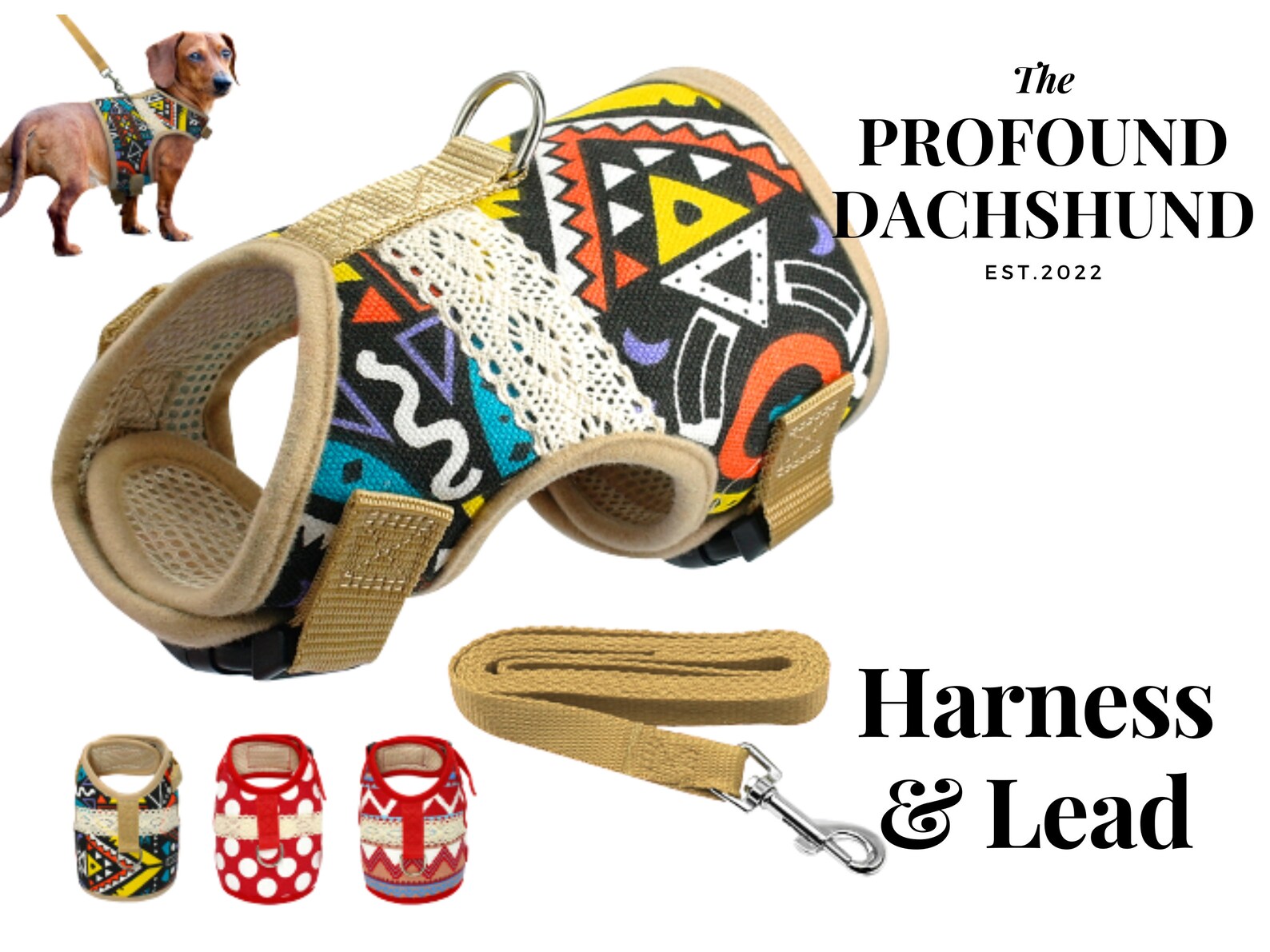 Dachshund Harness and Lead Set A Very Stylish Harness for Etsy